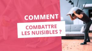 Image de l'article Combattre les nuisibles : conseils et astuces